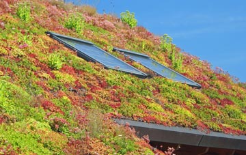 Callow Marsh living roof systems