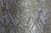 Callow Marsh fibreglass roof work